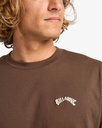 Camiseta Billabong Arch Crew - Dark Cedar