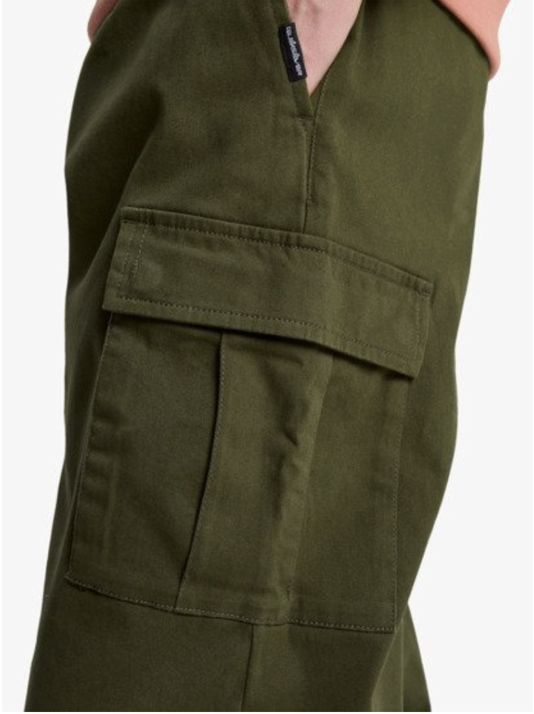 Pantalón Quiksilver Taxer Regular Cargo - Grape Leaf