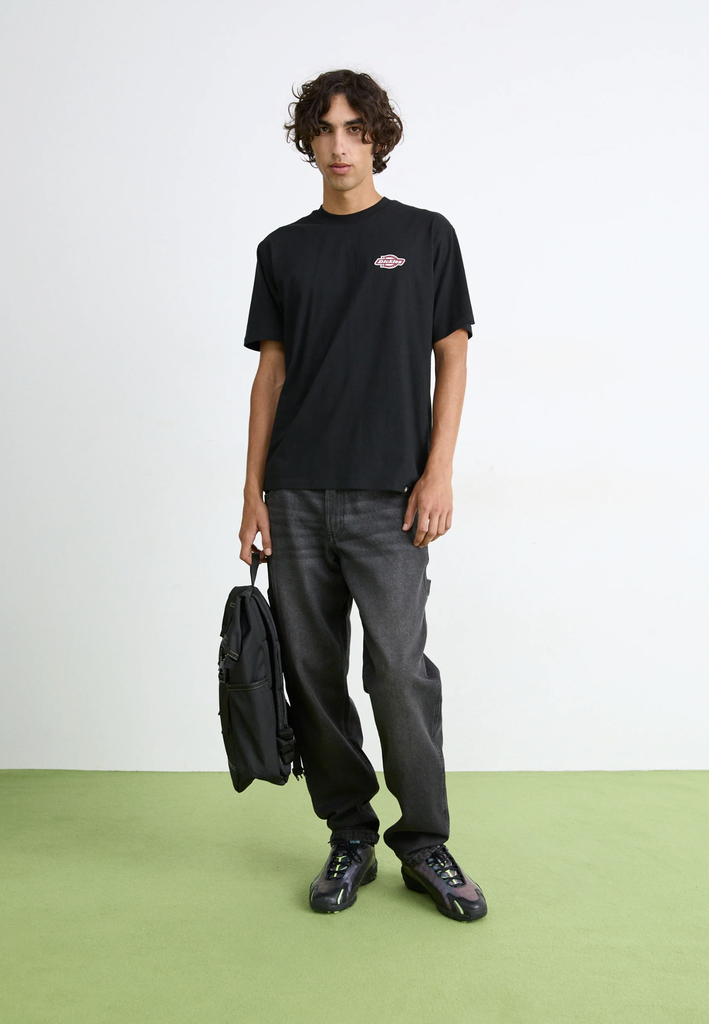 Pantalón Vaquero Dickies Carpenter Stevensville - Black Washed