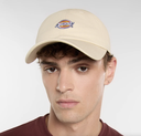 Gorra Dickies Hardwick - Beig