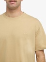Camiseta Quiksilver Salt Water - Khaki (cjz0)