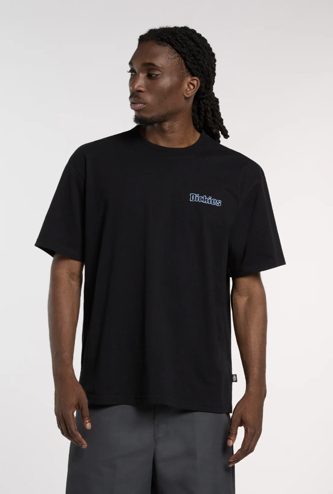 Camiseta Dickies Fairlawn - Negro