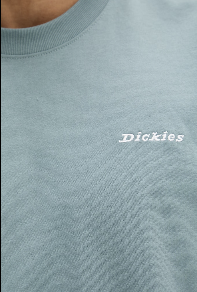 Camiseta Dickies Loretto - Stormy Sea