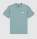 Camiseta Dickies Summedale - Stormy