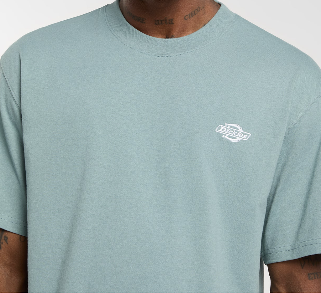 Camiseta Dickies Summedale - Stormy