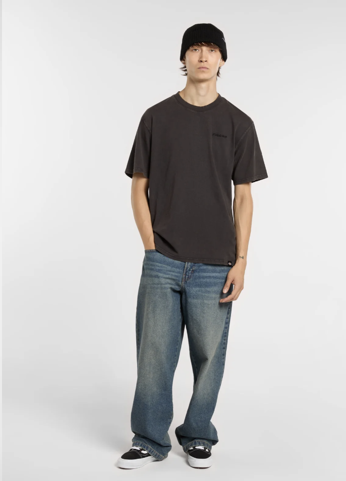 Camiseta Dickies Plentywood -Negro