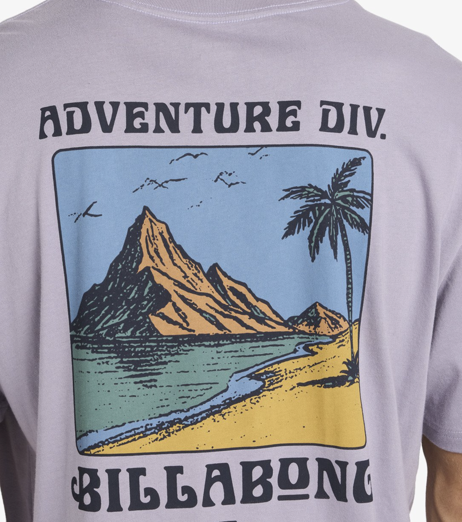 Camiseta Billabong Post Cards A/Div Premium - Purple Ash