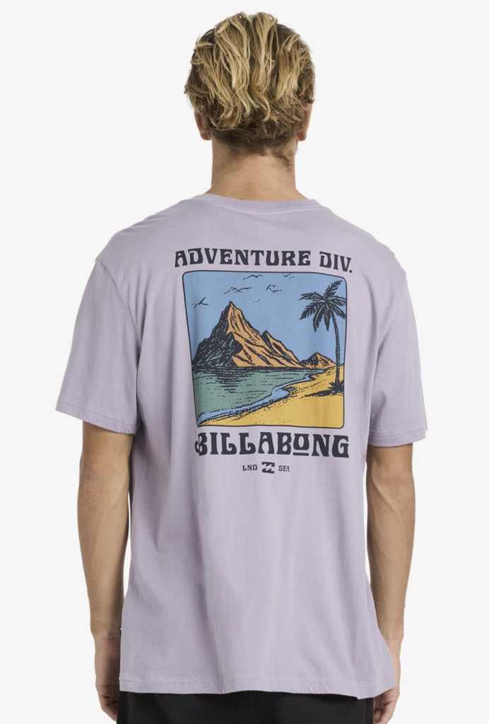 Camiseta Billabong Post Cards A/Div Premium - Purple Ash