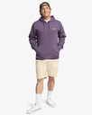 Sudadera con Capucha Billabong Arch - Dusty Grape (ppd0)