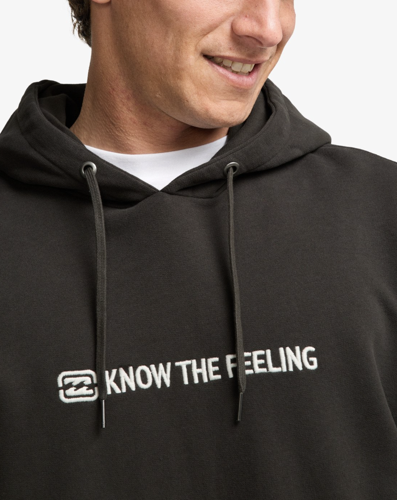 Sudadera con Capucha Billabong Core Lord - Raven (rav)