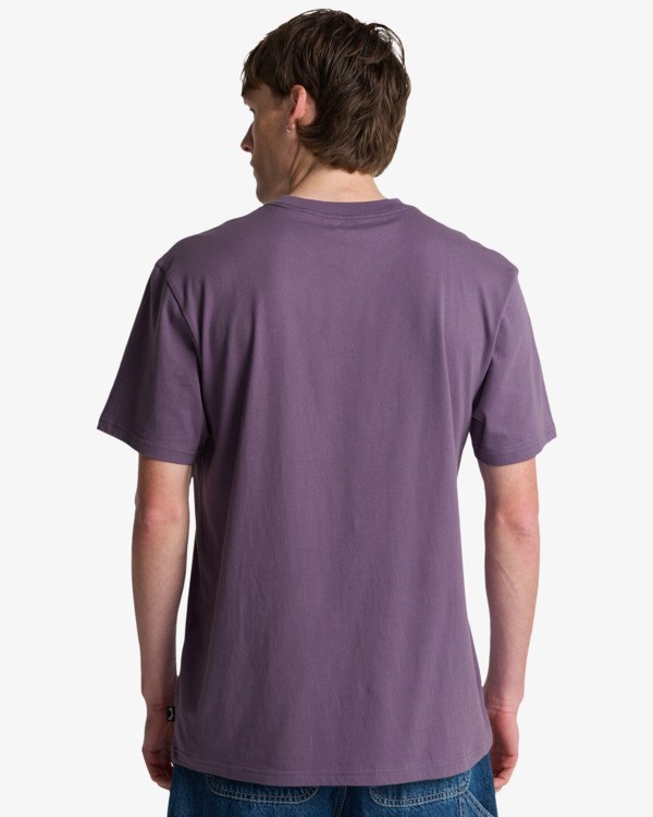 Camiseta Billabong Arch Frame - Dusty Grape (ppd0)