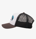 Gorra Quiksilver Decades Cotton - Micro Chip (szh0)