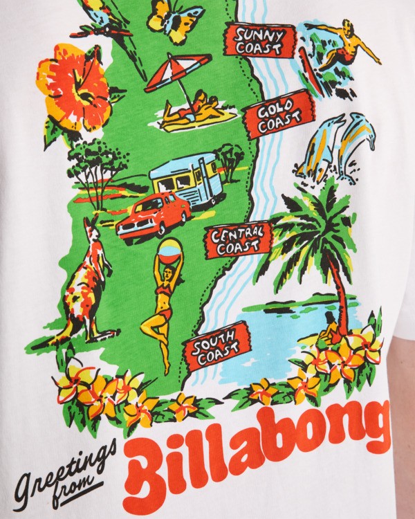 Camiseta Billabong Origin - White (wht)