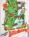 Camiseta Billabong Origin - White (wht)