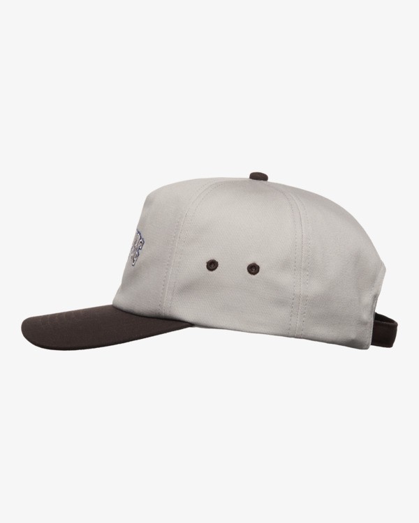 Gorra Billabong Throwback - Silver (sil)