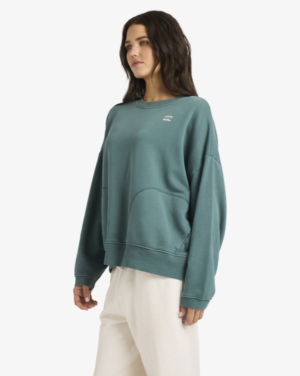 Sudadera Billabong Dont Forget - Alpine (apn)