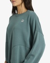 Sudadera Billabong Dont Forget - Alpine (apn)