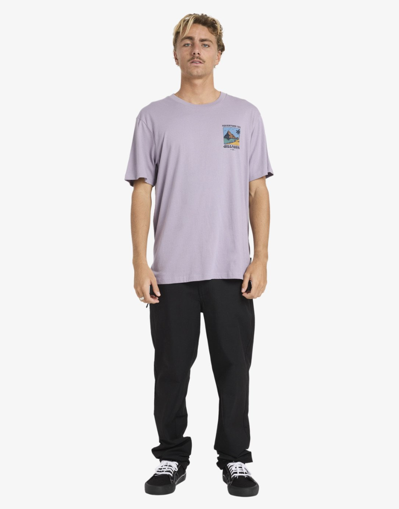 Camiseta Billabong Post Cards - Purple Ash (pps)