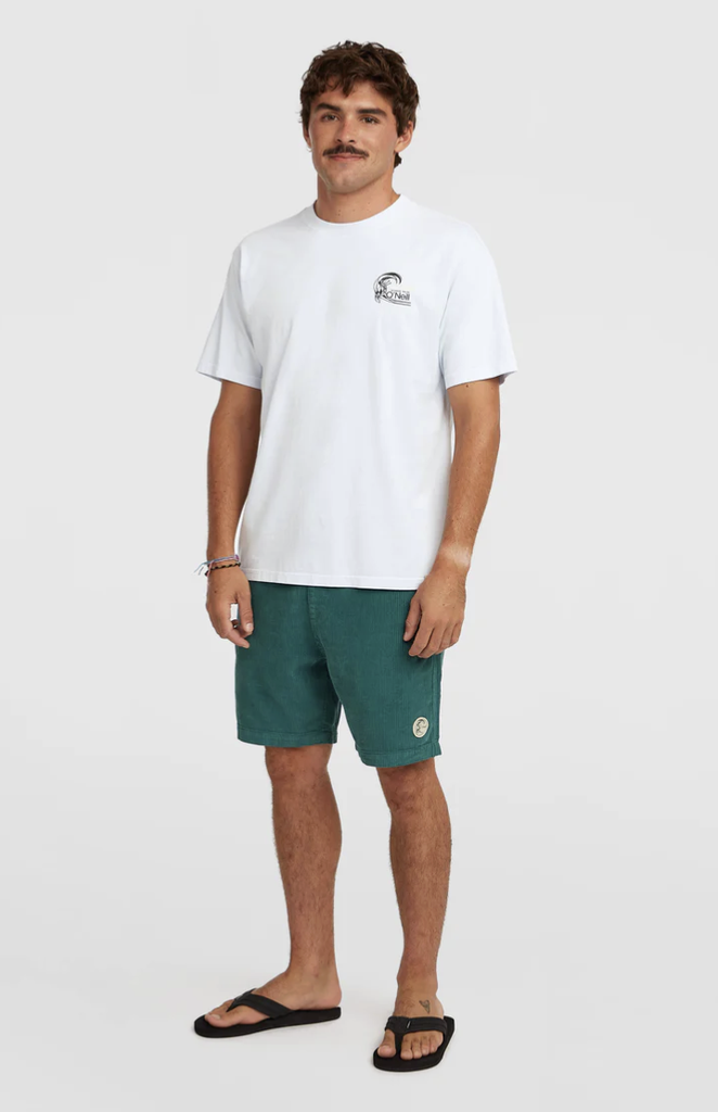 Pantalón Corto de Pana O'neill O'Riginals Cord - Botanical Heat