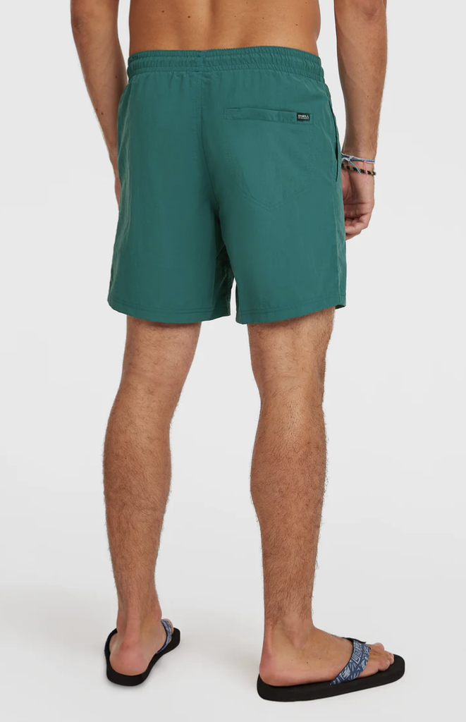 Bañador O'neill Vert 16'' - Botanical Heat