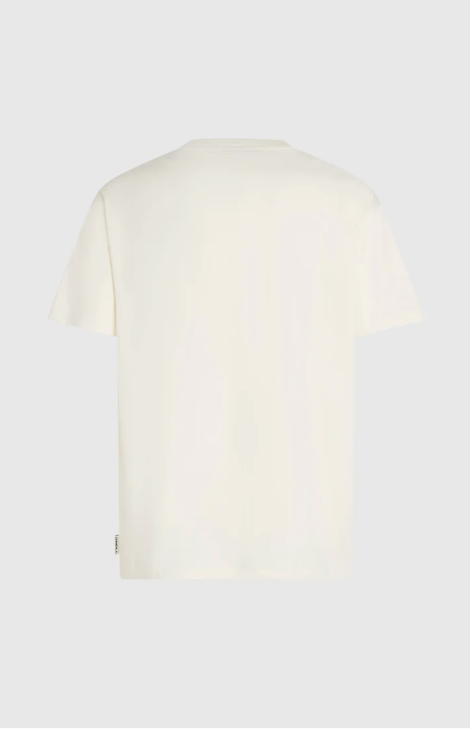 Camiseta O'neill Gradient - Snow White
