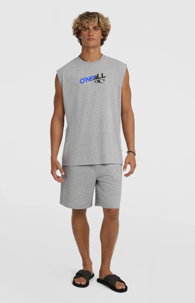 Camiseta Sin Mangas O'neill Essentials 90s Graphic - Silver Melee