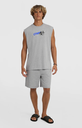 Camiseta Sin Mangas O'neill Essentials 90s Graphic - Silver Melee