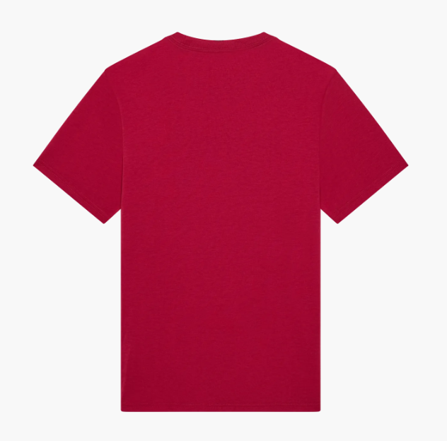 Camiseta Fox Absolute Tech - Cranberry (crnbry)