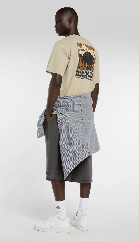 Camiseta Dickies Darrtown - Beige