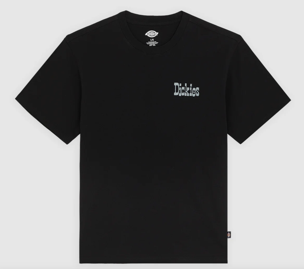 Camiseta Dickies Vernal - Black