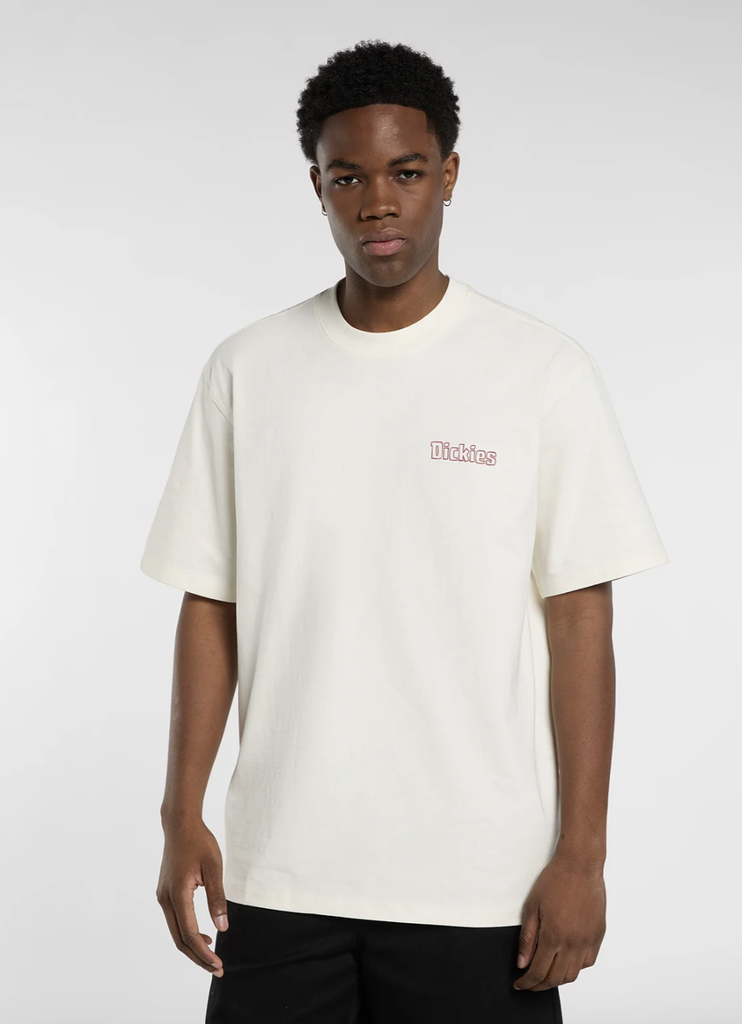 Camiseta Dickies Fairlawn - Egret