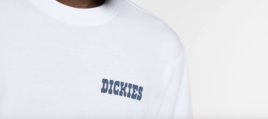 Camiseta Dickies Plain City - White