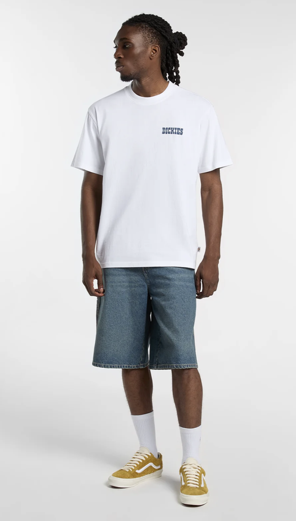 Camiseta Dickies Plain City - White
