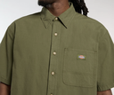 Camisa Dickies Vernal - Cypress