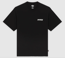 Camiseta Dickies Dry Ridge - Black
