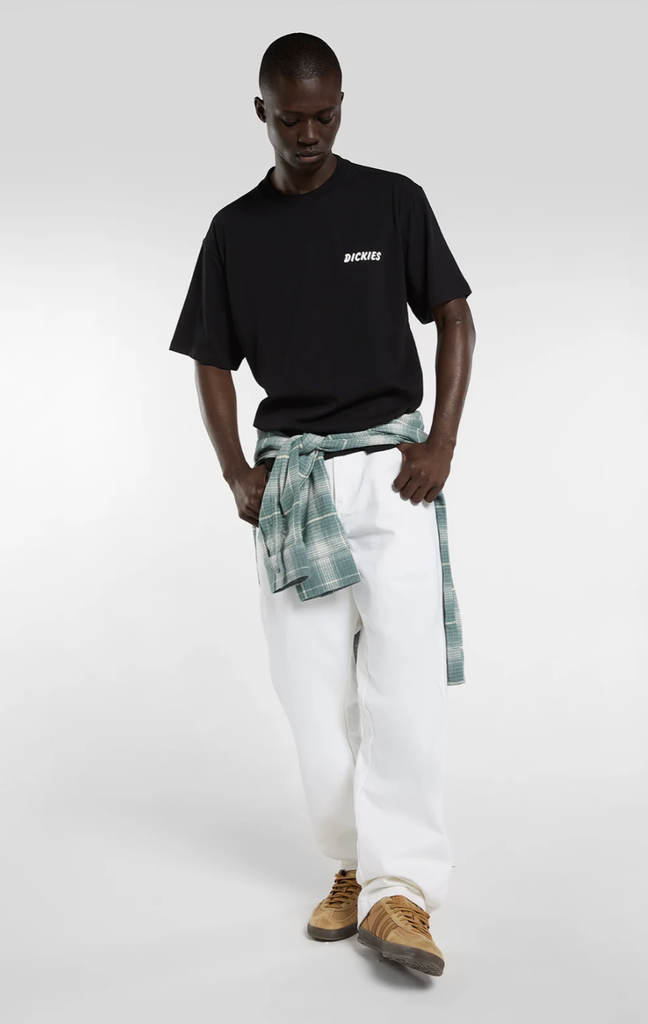 Camiseta Dickies Dry Ridge - Black