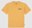 Camiseta Dickies Darrtown - Sunflower