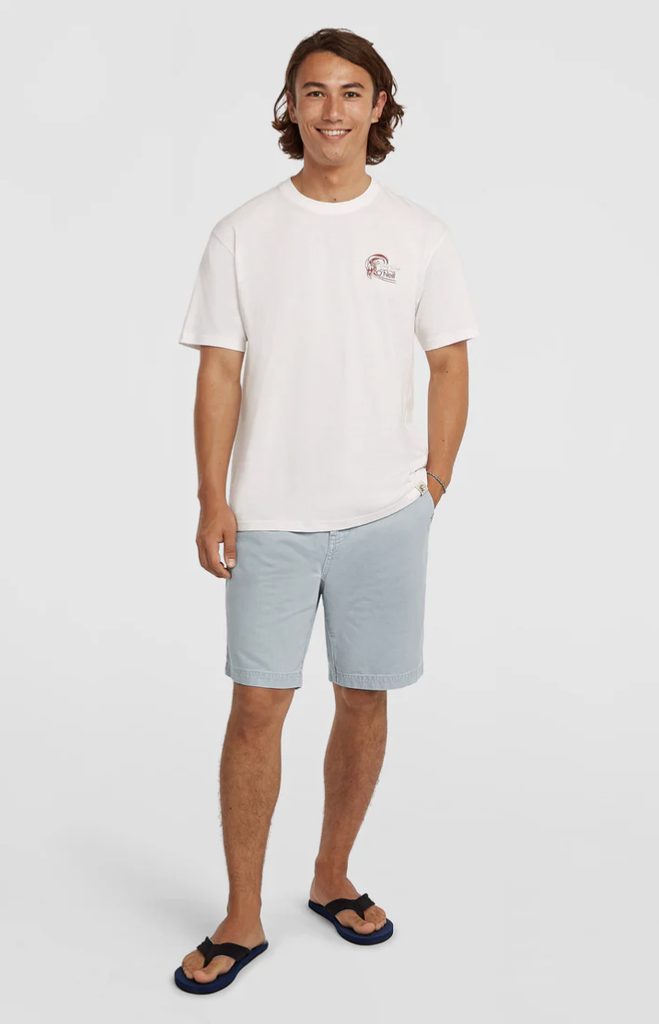 Pantalón Corto O'neill Men O'Riginals - Spindle