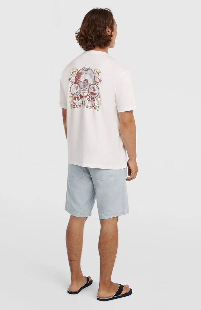 Pantalón Corto O'neill Men O'Riginals - Spindle