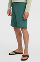 Pantalón Corto O'neill Hybrid 19" - Botanical Heat