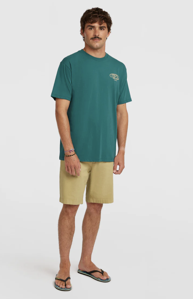 Pantalón Corto O'neill Essentials Chino - Oak Ridge