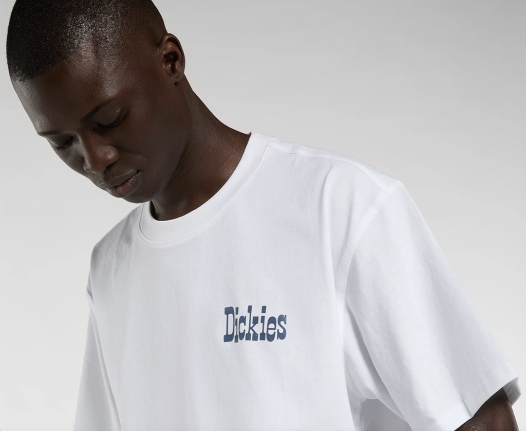 Camiseta Dickies Vernal - White