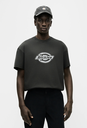 Camiseta Dickies Plainville - Black