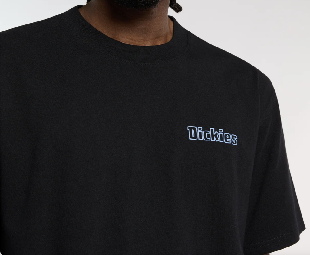 Camiseta Dickies Fairlawn - Black
