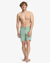 Bañador Billabong Wategos Low Tide - Green Ash (ggv0)