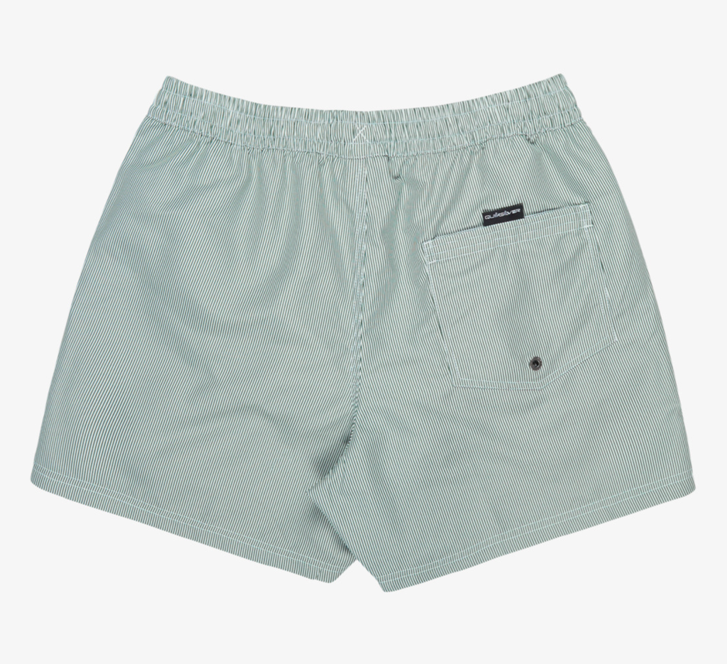 Bañador Quiksilver Everyday Deluxe 15" -