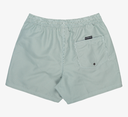 Bañador Quiksilver Everyday Deluxe 15" -