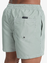 Bañador Quiksilver Everyday Deluxe 15" -