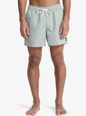 Bañador Quiksilver Everyday Deluxe 15" -