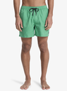 Bañador Quiksilver Everyday Deluxe 15" - Leprechaun (gnz0)